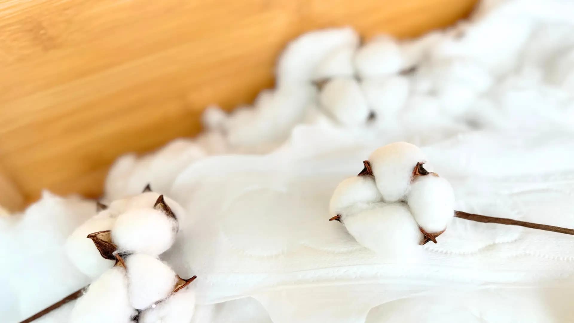 GOTS Certified organic cotton